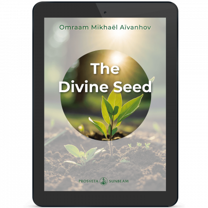 The Divine Seed (eBook)