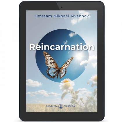 Reincarnation (eBook)