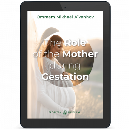 The Role of the Mother during Gestation (eBook)