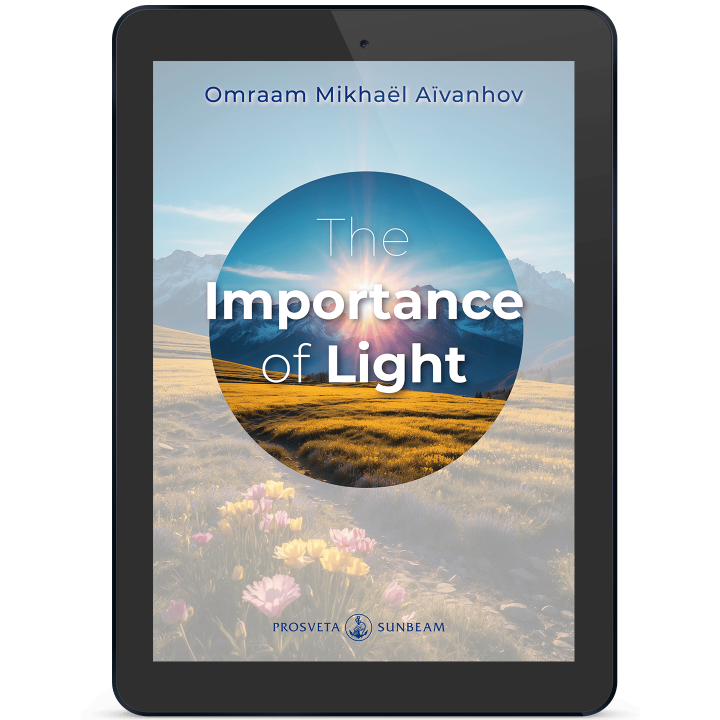 The Importance of Light (eBook)